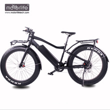 48v 1000w fast cheap motorized fat tire bicycle, 8fun mid drive big power batteries electric bikes made in china